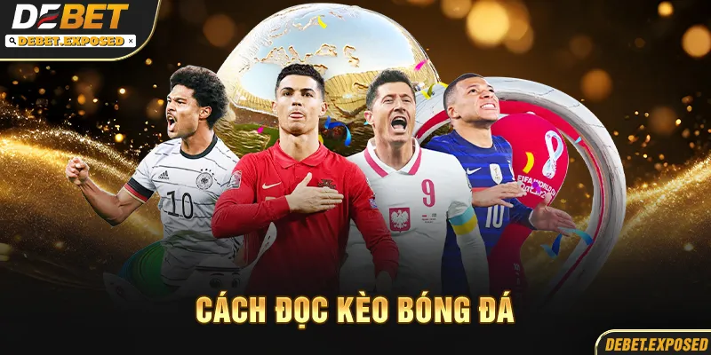 Cách đọc kèo bóng đá