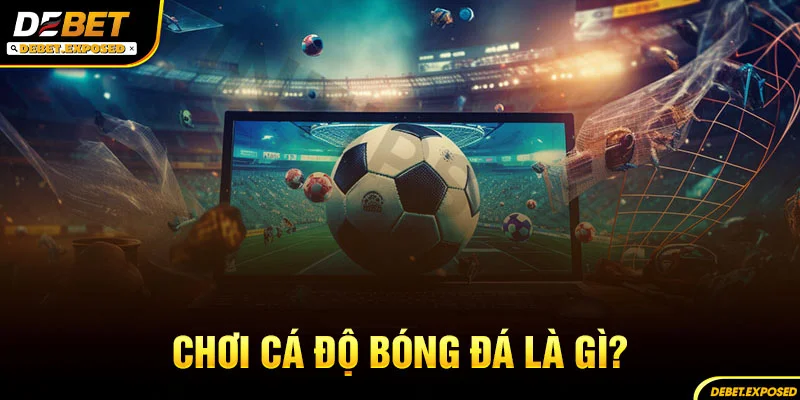 Chơi cá độ bóng đá là gì?