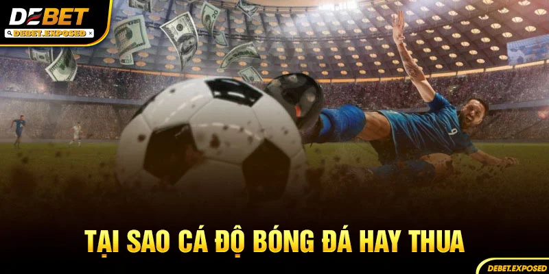 Tại sao cá độ bóng đá hay thua