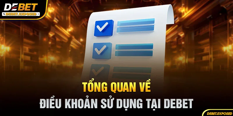 Tổng quan về điều khoản sử dụng tại debet