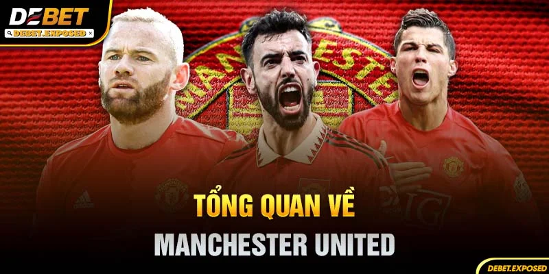 Tổng quan về manchester united